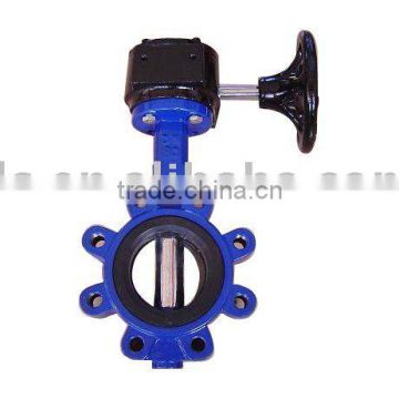 Lug type worm-gear-operated butterfly valve