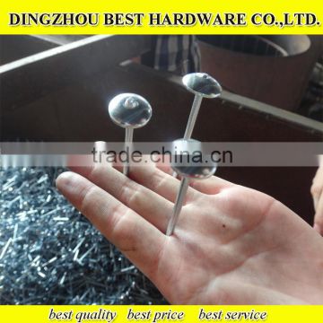 Electro galvanized roofing nail with umbrella head