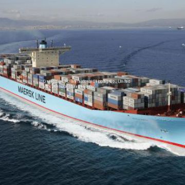 International logistics shipping Guangzhou Huangpu to Kuwait special line FCL shipping  double clearance to the door