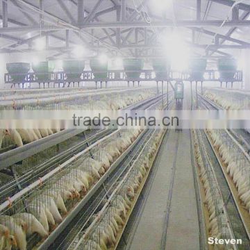 Design poultry farm automatic egg layer cage