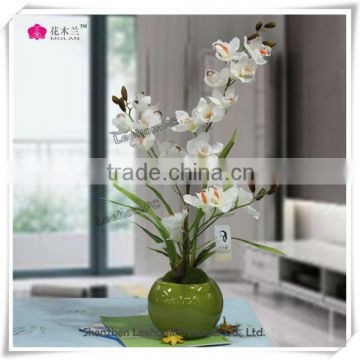 hot scented exotic dried flowers best for indooor decoration