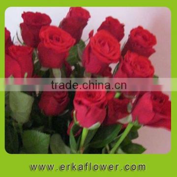 Fresh Rose High Quality blue silk roses For sale