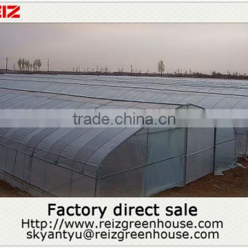 15 years warranty hot galvanized pipes cheap PE film agriculture single span tunnel greenhouse