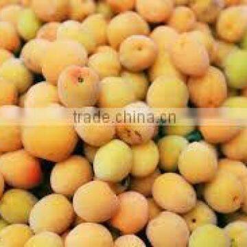 Compote Apricots in syrup 12 oz tin (450 ml x 24 tins)