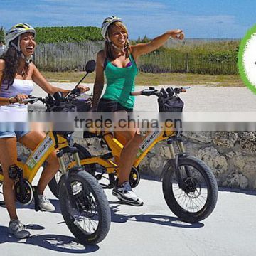 Cheap strong different color electric bicycle cheap
