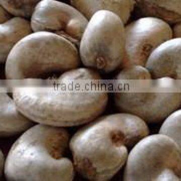 Raw Cashew