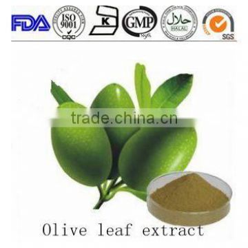 High quality olive leaf extract in bulk Oleurpein25% / Hydroxytrosol for sale