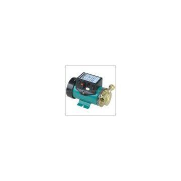 Two-way automatic hot water booster pump