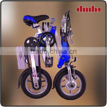 DMHC 2014 a-bike folding bike