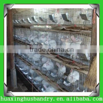 galvanized metal rabbit cages poultry layer cages