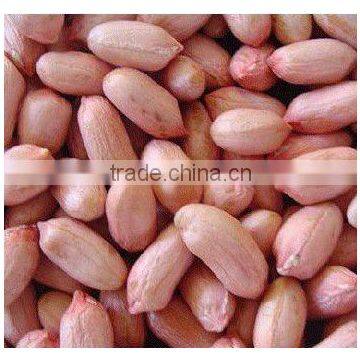 Groundnut Peanut kernel