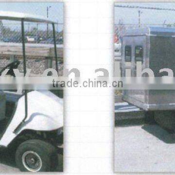 Custom Golf Cart with Van Box