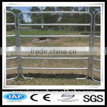 The new design of PVC Horse fence made in China