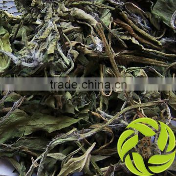Top quality Chinese herbal medicines wild mint leaf china kitchen condiment dried peppermint leaf herb tea