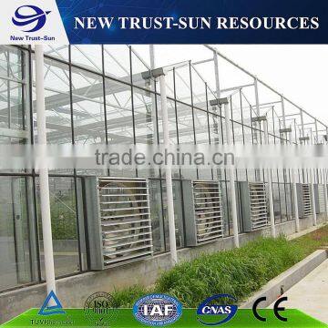 Sturdy and strong multi-span Polycarbonate/PC sheet/board agriculture greenhouse