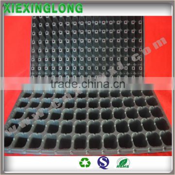 Plastic 72 holes seed tray with high quality