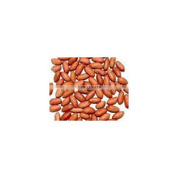 Best peanuts supplier