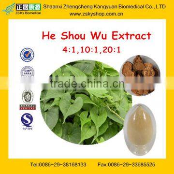 He Shou wu Extract, Polygonum Multiflorum Extract, Fallopia Multiflora Extract