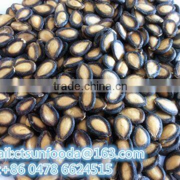 Chinese watermelon seeds for human consumption,market price with good quality