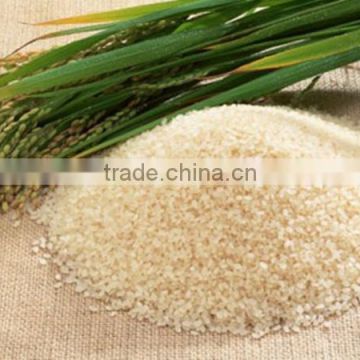 Vietnamese Milled Raw Rice 100% broken