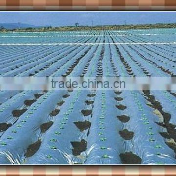 Blue mulching film for agriculture