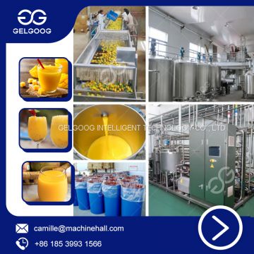 Industrial Commercial Pineapple Apple Fruit Mango Juice Processing Machine