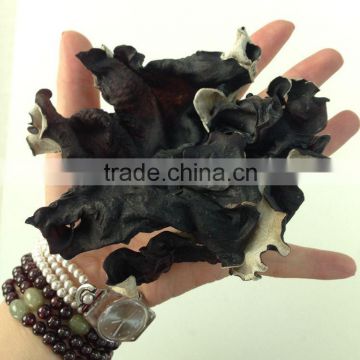 Edible Black Fungus Importer