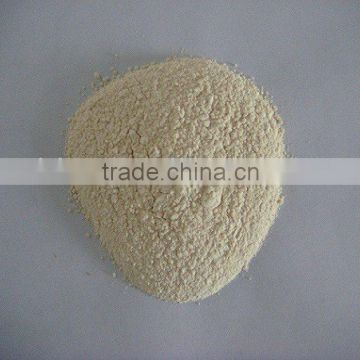2013 new garlic powder instock best price for garlic powder