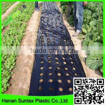 high quality clear/black plastic mulch film blowing for vegetable with holes
