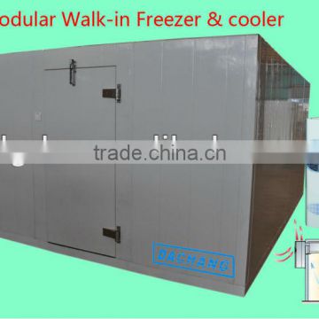 Customized Storage PU Meat Freezer Cold Room