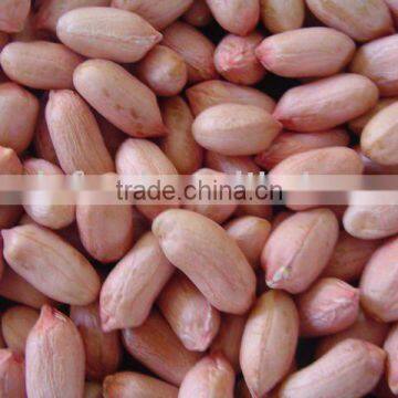 Peanut kernels with high quality