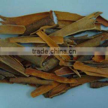 Broken cassia from Vietnam high quality