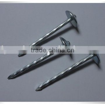 1.5"*14G large Head smooth plain Shank Roofing Nail china factory