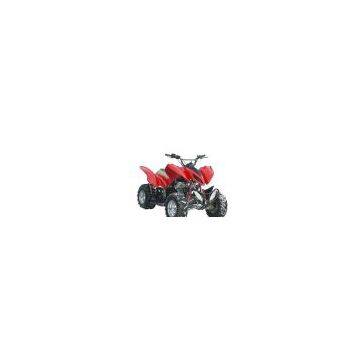 ATV/QUAD BIKE