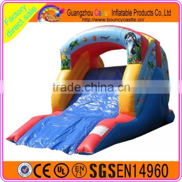 Mini size inflatable dry slide backyard