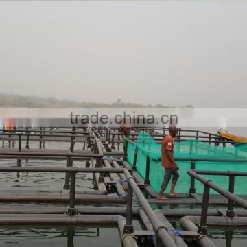 HDPE fish cage floating for tilapia fish farming in Africa