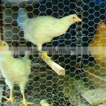 1/2 inch Green chicken/poutry anping hexagonal wire mesh netting