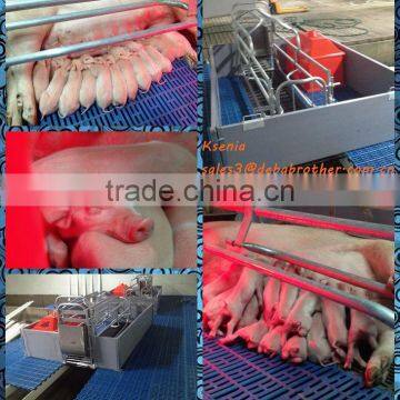 hot galvanized DEBA popular farrowing crates breeding farrowing pen