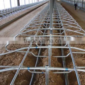 Cow/cattle double stall (cow stall-F)
