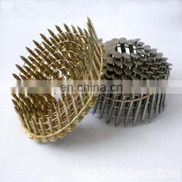 Galvanized Coil Roofing Nails Type, Iron Material Coil Roofing Nails