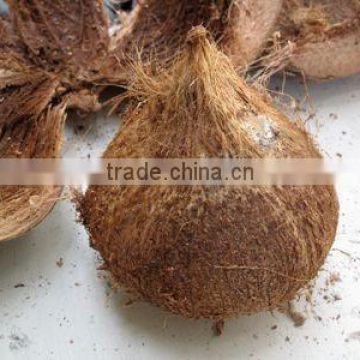 Semi Husked Matured Coconut supplier