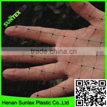 high quality Bop stretch net with competitive price