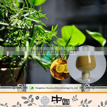 Rosemary leaf extract ,rosemary antioxidant,Carnosic acid Powder
