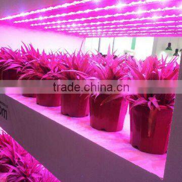 plant induction grow lamp 40w-300w