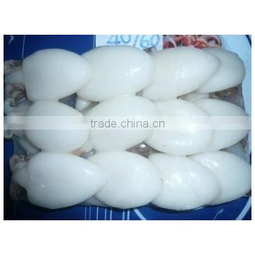 FROZEN BABY CUTTLEFISH WHOLE CLEANED