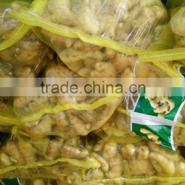 chinese fresh ginger packed in 20kg mesh bag