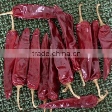 Dried red chilli from factory