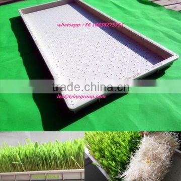 high quality plant propagation plastic seed tray
