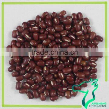 Adzuki Beans Small Beans Top Grade