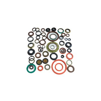 Customized Oil Seal OEM Different Materials Rotary Shaft Oil Seals
